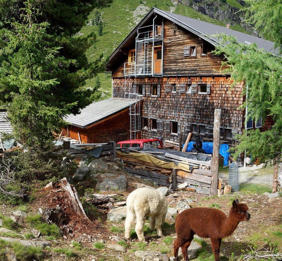 Lienzer Hütte (1977) in Österreich – OEAV-Schutzhütte
