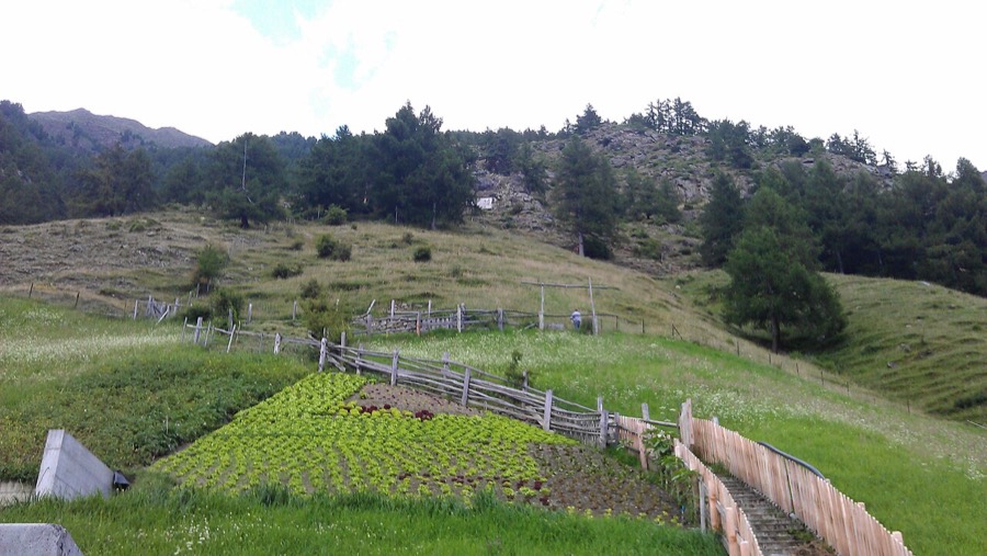 Meraner Höhenweg